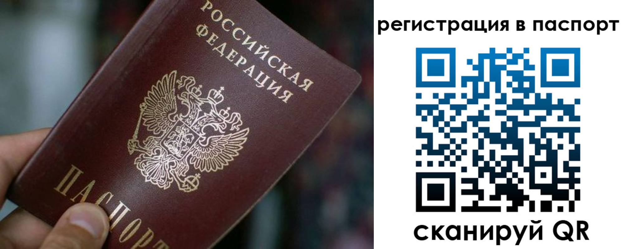 временная регистрация недорого в Ленинградской области